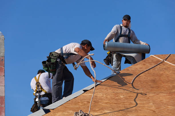 Best Roof Maintenance Services  in Franklinton, LA